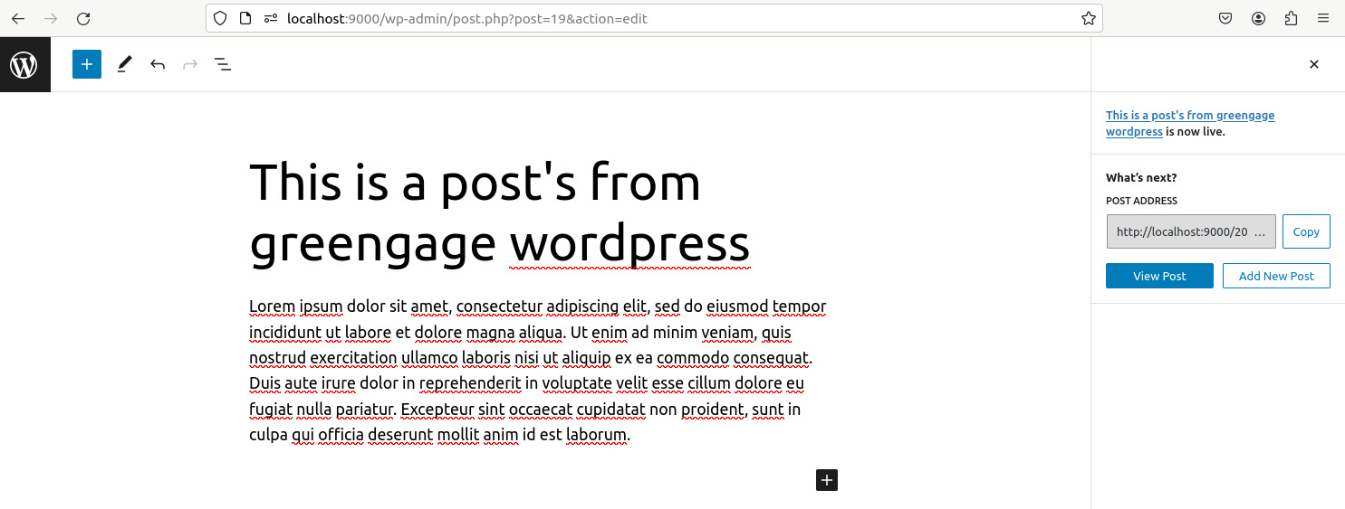 Creating Post in WordPress